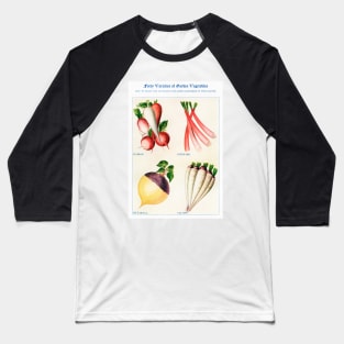 Garden Vegetable watercolor illustration (1915) Baseball T-Shirt